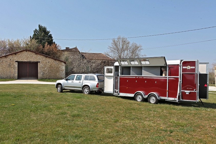 van 4 chevaux occasion